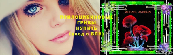 ГАЛЛЮЦИНОГЕННЫЕ ГРИБЫ Баксан