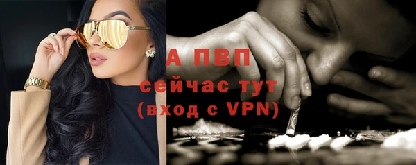 Альфа ПВП Беломорск