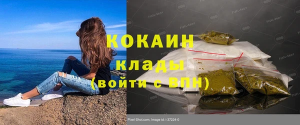 ГАЛЛЮЦИНОГЕННЫЕ ГРИБЫ Баксан