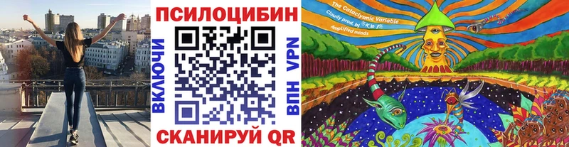 Псилоцибиновые грибы Psilocybe  Купить закладки  Новопавловск 
